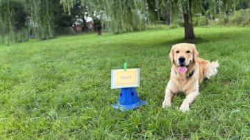 Rally obedience