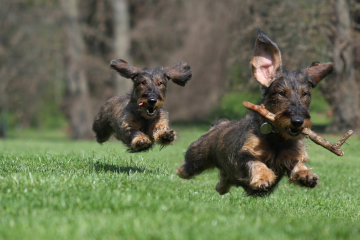 Fotolia_51481921_S